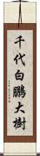 千代白鵬大樹 Scroll