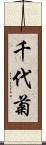 千代菊 Scroll