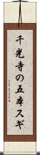 千光寺の五本スギ Scroll