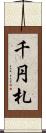 千円札 Scroll