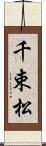 千束松 Scroll