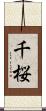 千桜 Scroll