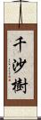 千沙樹 Scroll