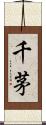 千茅 Scroll