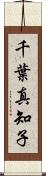 千葉真知子 Scroll