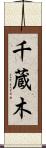 千蔵木 Scroll