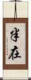 半在 Scroll