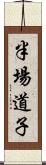 半場道子 Scroll