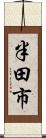 半田市 Scroll