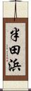 半田浜 Scroll