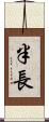 半長 Scroll