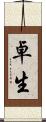 卓生 Scroll