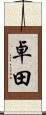 卓田 Scroll