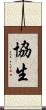 協生 Scroll