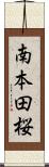 南本田桜 Scroll