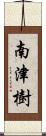 南津樹 Scroll