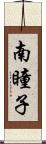 南瞳子 Scroll