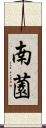 南薗 Scroll