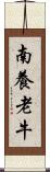 南養老牛 Scroll