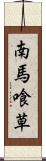 南馬喰草 Scroll