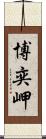 博奕岬 Scroll