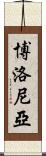 博洛尼亞 Scroll