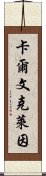 卡爾文克萊因 Scroll