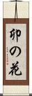卯の花 Scroll
