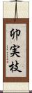 卯実枝 Scroll