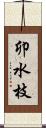 卯水枝 Scroll