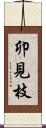 卯見枝 Scroll