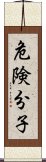 危険分子 Scroll