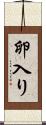 卵入り Scroll