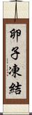 卵子凍結 Scroll