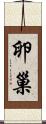 卵巢 Scroll