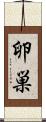 卵巣 Scroll