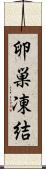 卵巣凍結 Scroll