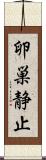 卵巣静止 Scroll