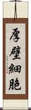 厚壁細胞 Scroll