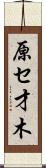 原セ才木 Scroll