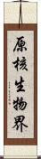 原核生物界 Scroll