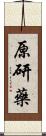 原研藥 Scroll