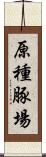 原種豚場 Scroll