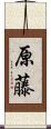 原藤 Scroll