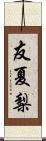 友夏梨 Scroll