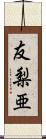 友梨亜 Scroll