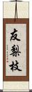 友梨枝 Scroll