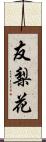 友梨花 Scroll