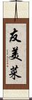 友美菜 Scroll