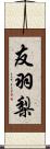 友羽梨 Scroll